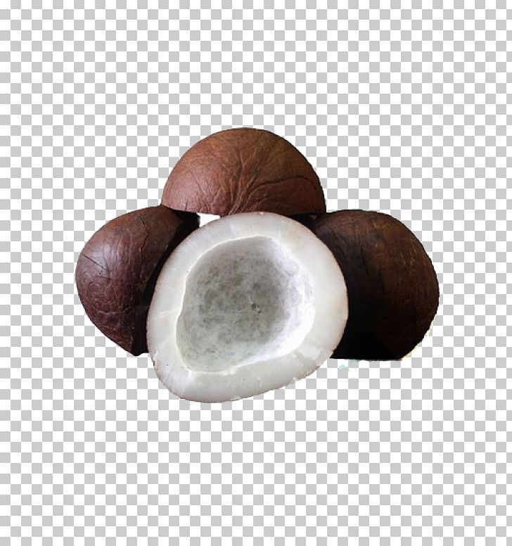 Coconut Dried Fruit Copra Food Drying Areca Nut PNG, Clipart, Areca Nut, Coconut, Coconut Milk Powder, Coconut Oil, Copra Free PNG Download