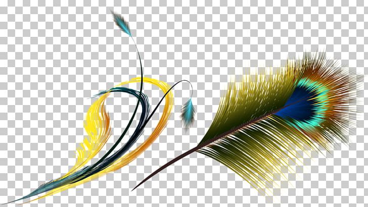 Flight Feather Asiatic Peafowl PNG, Clipart, Animals, Asiatic, Asiatic Peafowl, Beak, Color Free PNG Download
