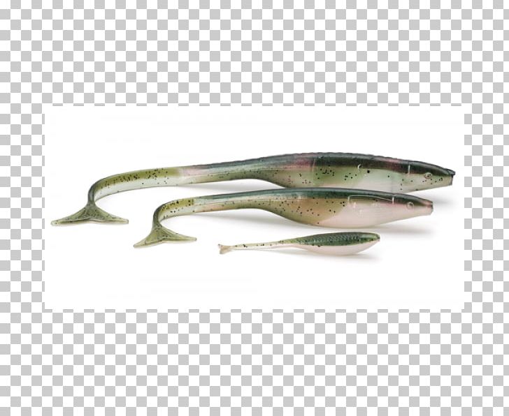 Spoon Lure V-tail Rudolfstetten-Friedlisberg Bait Fish Information PNG, Clipart, Bait, Bait Fish, European Pilchard, Facebook, Facebook Inc Free PNG Download