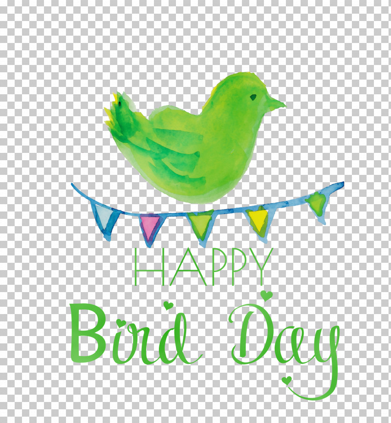 Feather PNG, Clipart, Beak, Biology, Bird Day, Birds, Feather Free PNG Download