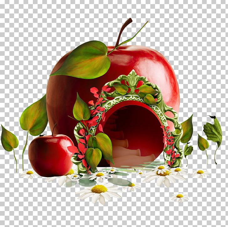 Apple House PNG, Clipart, Appl, Apple Fruit, Apple House, Apple Logo, Apple Tree Free PNG Download
