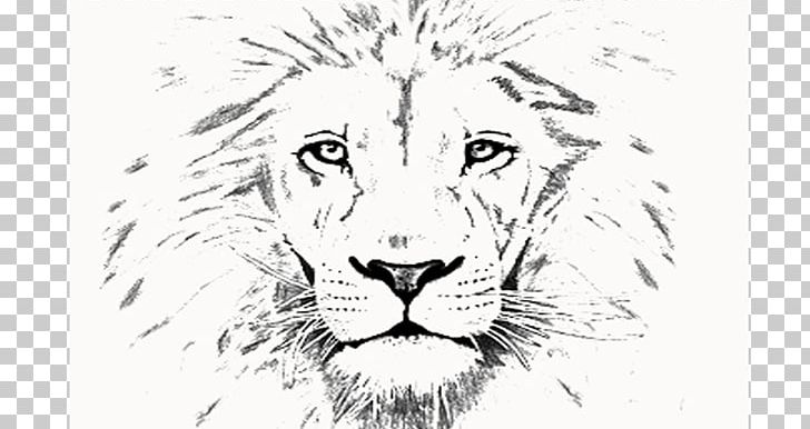 Lion Tiger Whiskers Line Art Sketch PNG, Clipart, Art, Artwork, Big Cats, Black And White, Carnivoran Free PNG Download