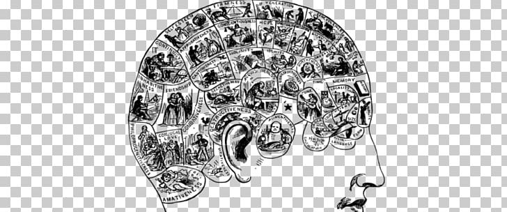 Lives Of The Mind: The Use And Abuse Of Intelligence From Hegel To Wodehouse Brain Agy Neuroscience PNG, Clipart, Agy, Attention, Automotive Lighting, Black And White, Body Jewelry Free PNG Download