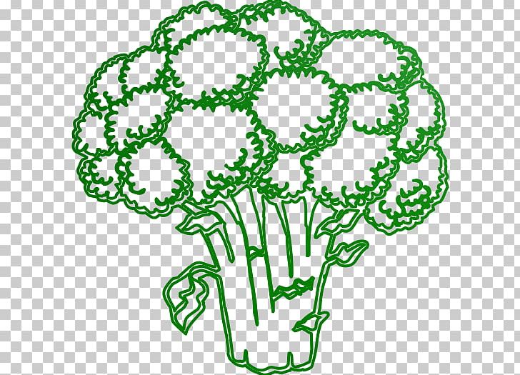 Vegetable Broccoli Education Fruit Pre-school PNG, Clipart, Area, Blackboard, Book, Broccoli, Brocoli Free PNG Download
