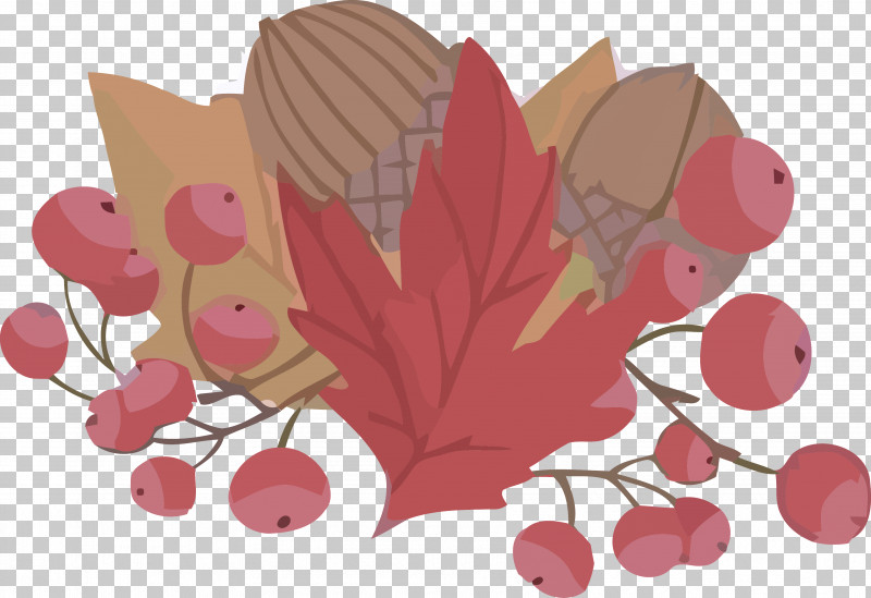 Autumn Acorns Leaves PNG, Clipart, Acorns, Autumn, Leaf, Leaves, Petal Free PNG Download