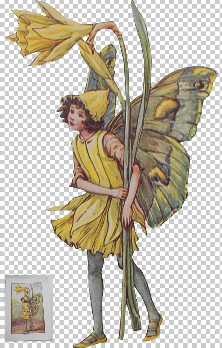 A Flower Fairy Alphabet The Book Of The Flower Fairies The Flower Fairies Complete Collection Flower Fairies Library: Flower Fairies Of The Trees PNG, Clipart, Book, Book Of The Flower Fairies, Cicely, Cicely Mary Barker, Clothing Free PNG Download