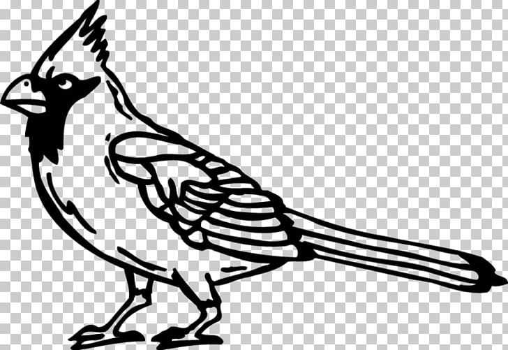 Beak Feather Line Art Cartoon PNG, Clipart, Animals, Artwork, Beak, Bird, Black And White Free PNG Download