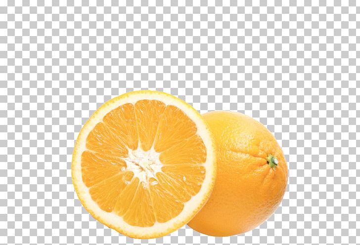 Citron Tangelo Mandarin Orange Clementine PNG, Clipart, Bitter Orange, Citric Acid, Citron, Citrus, Citrus Junos Free PNG Download