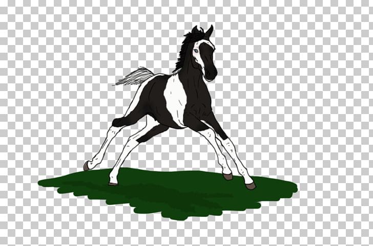 Mustang Foal Stallion Colt Pony PNG, Clipart, Bridle, Cartoon, Colt, English Riding, Equestrian Free PNG Download