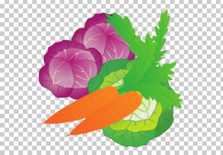 Vegetable Food Daikon Veggie Burger Carrot PNG, Clipart,  Free PNG Download
