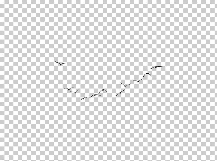Bird Migration Wing Flock White PNG, Clipart, Angle, Animal Migration, Animals, Area, Beak Free PNG Download