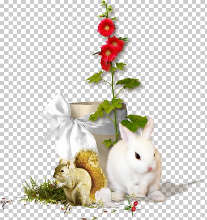 Domestic Rabbit PhotoScape PNG, Clipart, Animal, Autumn, Blog, Domestic Rabbit, Flower Free PNG Download