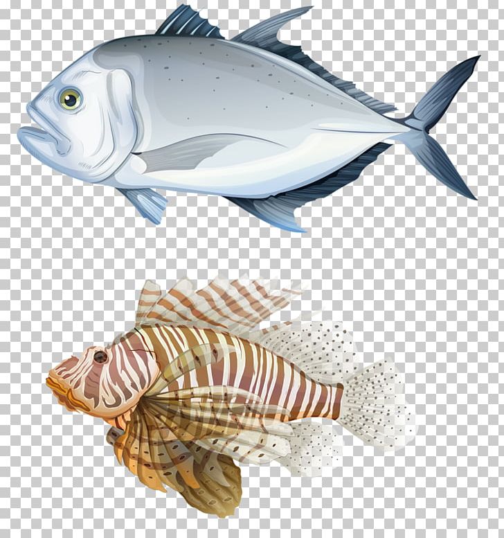 Giant Trevally Carangidae Illustration PNG, Clipart, Animals, Black White, Delicious Fish, Fauna, Fish Free PNG Download