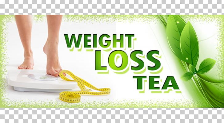 Tea Weight Loss Health Fat Obesity PNG, Clipart, Adipose Tissue, Alternative Medicine, Appetite, Brand, Charaag Free PNG Download
