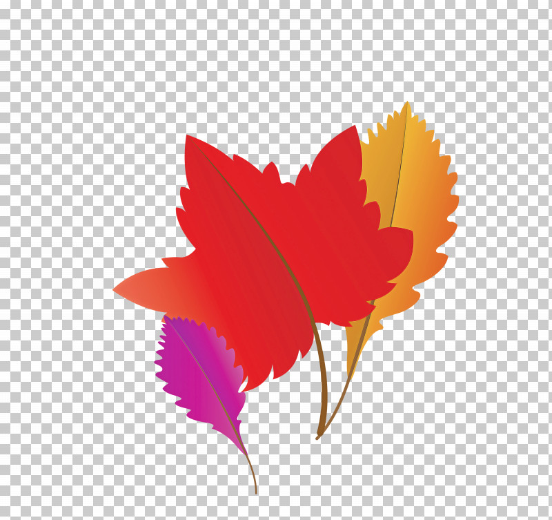 Maple Leaf PNG, Clipart, Autumn Leaf, Branch, Cartoon Leaf, Fall Leaf, Fern Free PNG Download