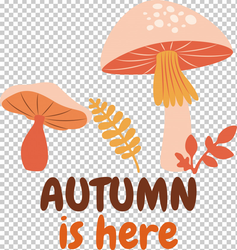 Gift Poster Color Drawing Logo PNG, Clipart, Autumn, Color, Drawing, Flower, Gift Free PNG Download
