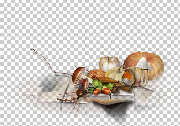 Food PNG, Clipart, Art, Food, You Tube Free PNG Download