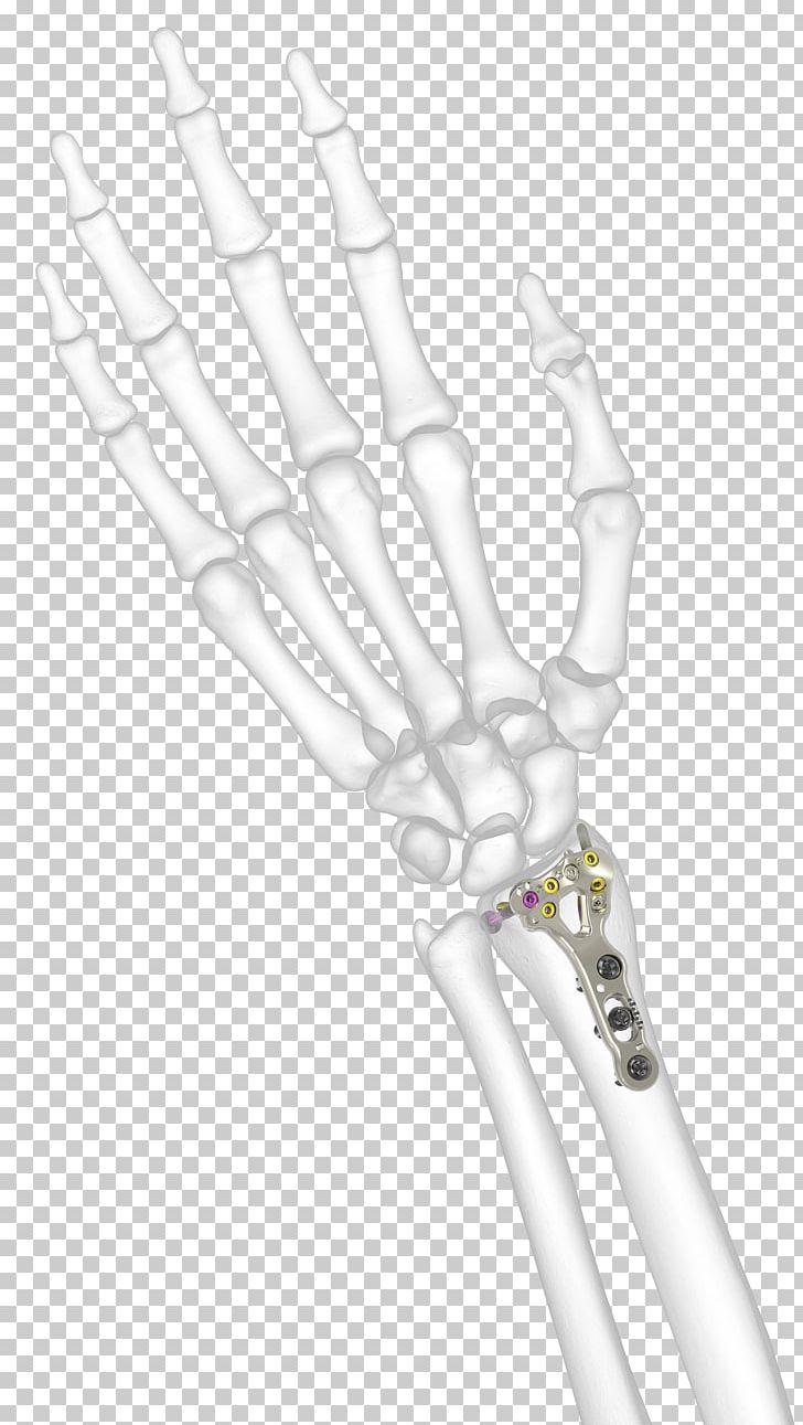 Thumb Hand Model PNG, Clipart, Arm, Art, Finger, Hand, Hand Model Free PNG Download