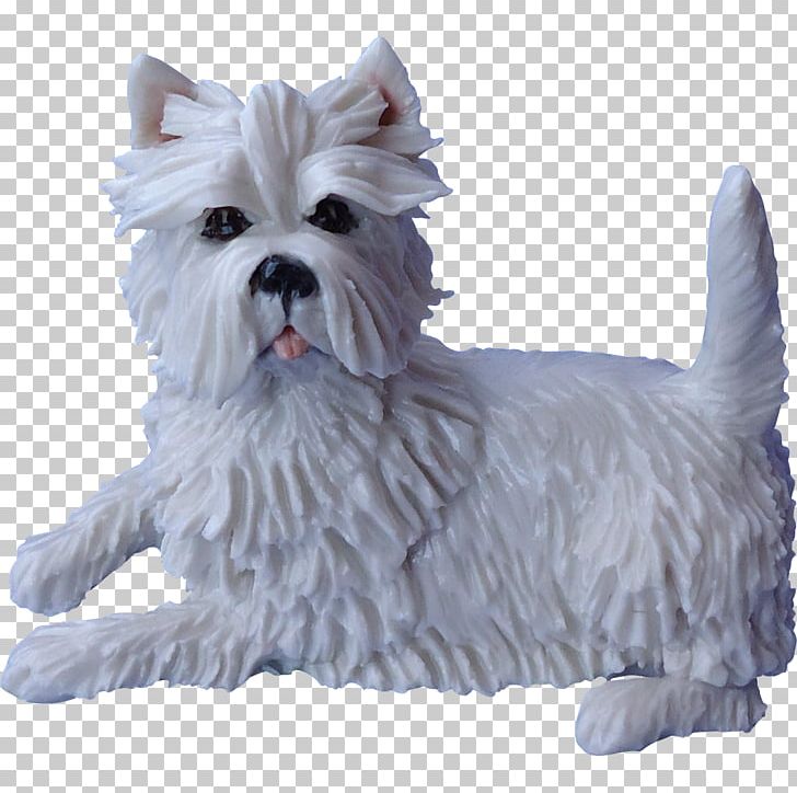 West Highland White Terrier Cairn Terrier Maltese Dog Companion Dog Dog Breed PNG, Clipart, Antique, Art, Breed, Breed Group Dog, Cairn Terrier Free PNG Download
