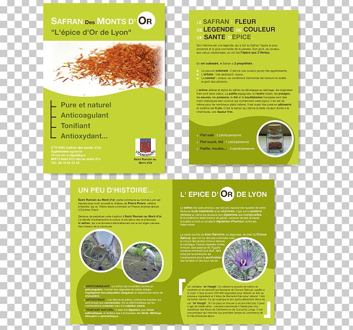 Brochure Corporate Design Information Graphic Design Text PNG, Clipart,  Free PNG Download