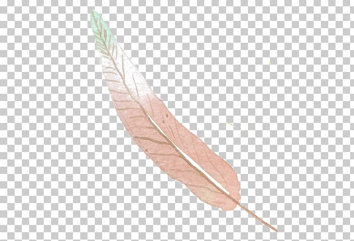 Feather Euclidean Color PNG, Clipart, Animals, Blue, Color, Download, Drawing Free PNG Download