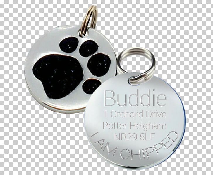 Dog Collar Pet Tag Paw PNG, Clipart, Animals, Badge, Brass, Charms Pendants, Claw Free PNG Download
