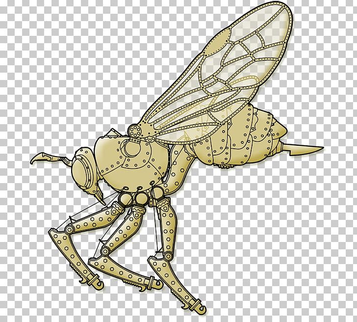 Honey Bee Hornet Steampunk Wasp PNG, Clipart, Arthropod, Artwork, Bee, Blog, Butterflies And Moths Free PNG Download