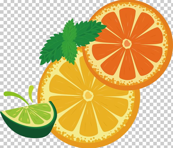 Lemon Yuvarlakia Fruit Adobe Illustrator PNG, Clipart, Apple Fruit, Bitter Orange, Citric Acid, Citrus, Drawing Free PNG Download