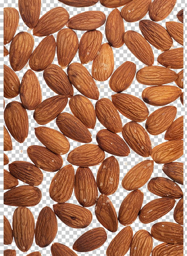 Nut Food Apricot Kernel Almond PNG, Clipart, Almond, Almond Vector, Cabbage, Cashew, Christmas Free PNG Download