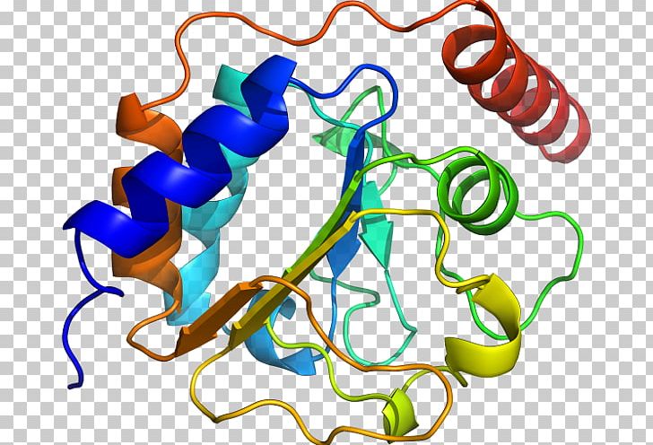 Organism Line PNG, Clipart, Acetolactate Synthase, Area, Art, Artwork, Line Free PNG Download