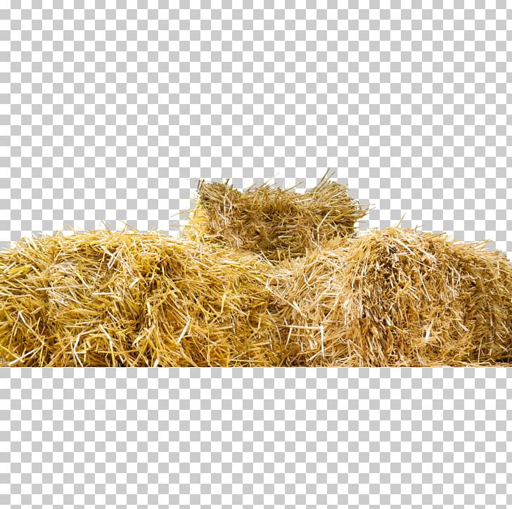 Straw-bale Construction Hay Baler PNG, Clipart, Bale, Baler, Cereal Germ, Commodity, Farm Free PNG Download