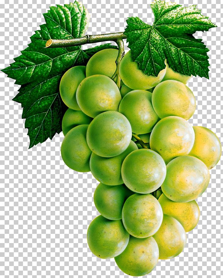 White Wine Common Grape Vine Juice PNG, Clipart, Citrus, Common Grape Vine, Food, Free, Fruit Free PNG Download
