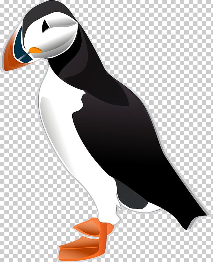 Bird Atlantic Puffin PNG, Clipart, Animals, Art, Atlantic Puffin, Auk, Beak Free PNG Download