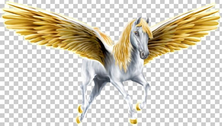 Horse Medusa Pegasus Winged Unicorn PNG, Clipart, Animals, Art, Beak, Bird, Desktop Wallpaper Free PNG Download