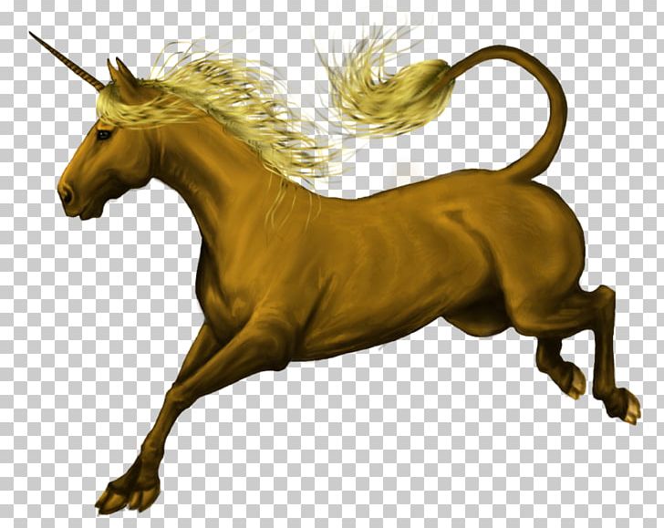 Mane Mustang Stallion Pony Unicorn PNG, Clipart, Fictional Character, Halter, Horn, Horse, Horse Like Mammal Free PNG Download