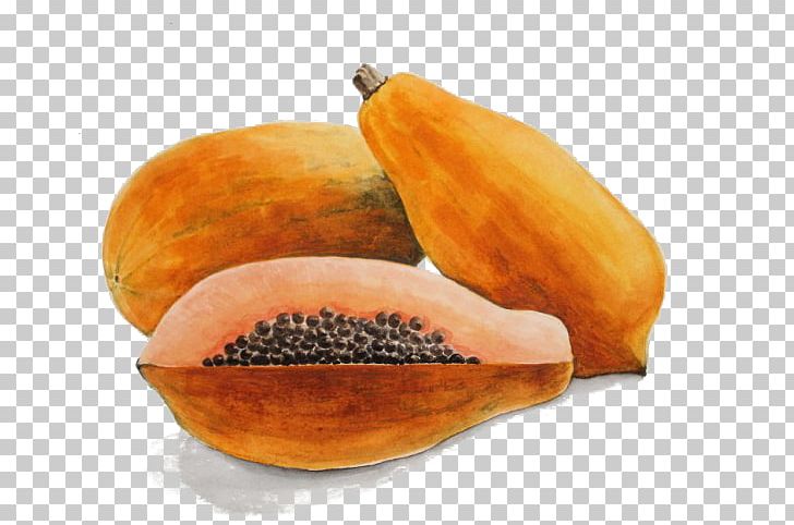Papaya Watercolor Painting Fruit PNG, Clipart, Auglis, Commodity, Download, Drawing, Food Free PNG Download