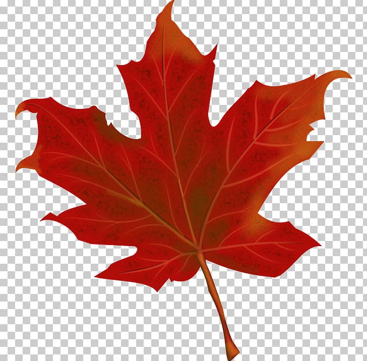 150th Anniversary Of Canada Maple Leaf PNG, Clipart, 150th Anniversary Of Canada, Autumn, Autumn Leaf Color, Canada, Clip Art Free PNG Download