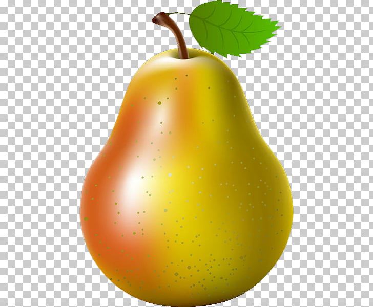 Asian Pear Fruit PNG, Clipart, Apple, Apple Pears, Beautiful, Can Stock Photo, Decoration Free PNG Download