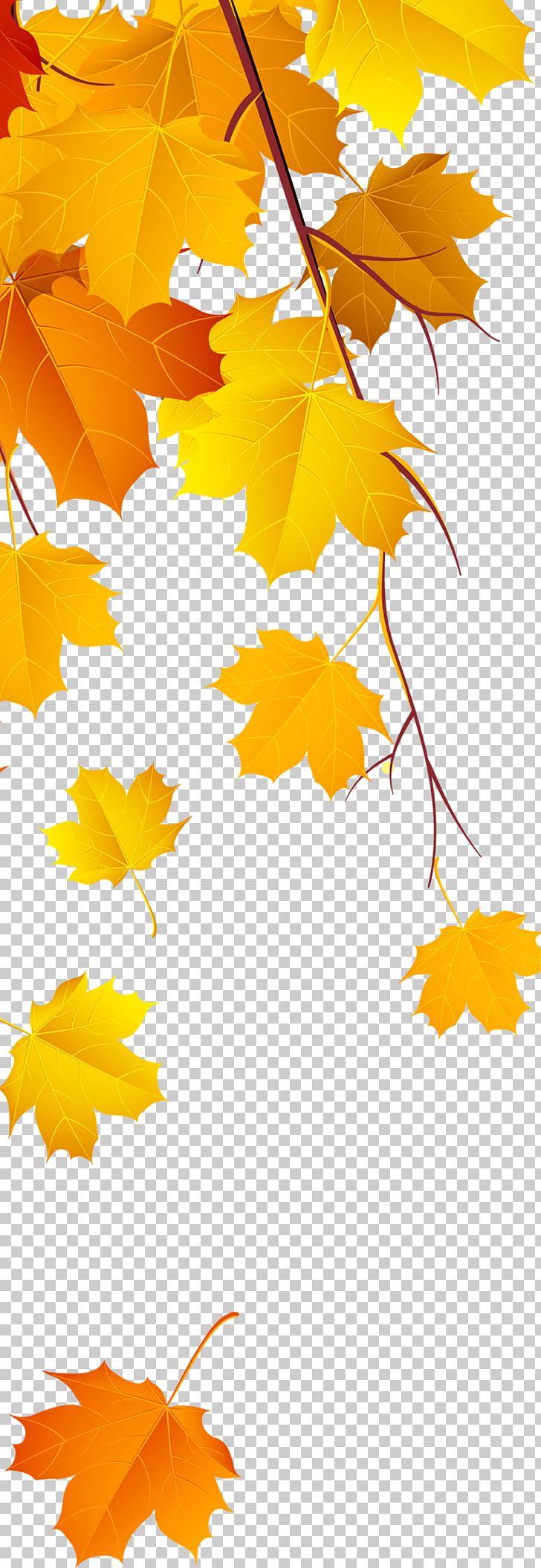 Maple Leaf Yellow PNG, Clipart, Autumn Leaves, Beauty Salon, Branch, Canadian Gold Maple Leaf, Download Free PNG Download
