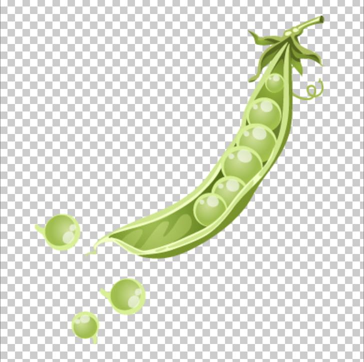 Netherlands Snow Pea Icon PNG, Clipart, Christmas Snow, Common Bean, Encapsulated Postscript, Euclidean Vector, Fruit Free PNG Download