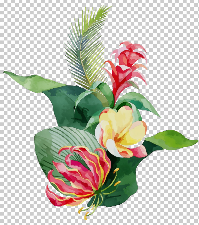 Floral Design PNG, Clipart, Artificial Flower, Biology, Canna, Cut Flowers, Floral Design Free PNG Download