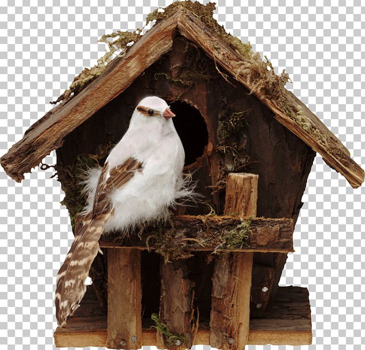 Bird Nest Nest Box Cygnini Dog Houses PNG, Clipart, Animals, Bird, Bird Bird, Birdhouse, Bird Nest Free PNG Download
