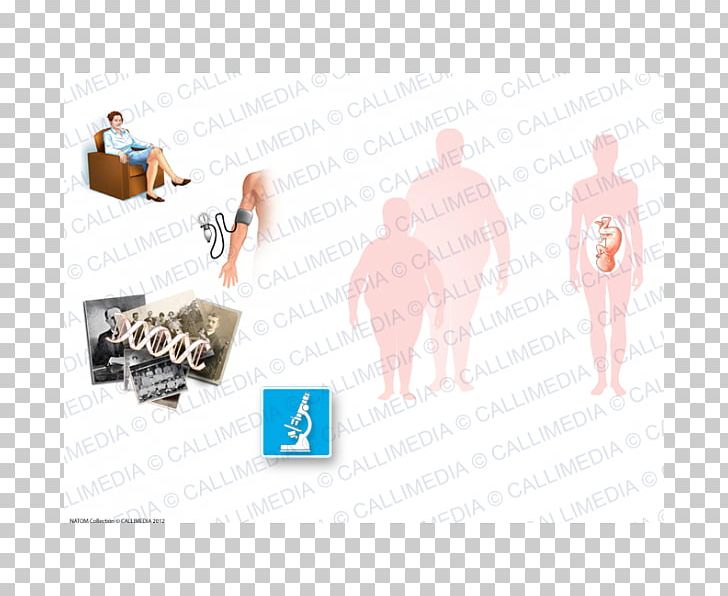 Diabetes Mellitus Diabetology Illustration Anatomique PNG, Clipart, Banco De Imagens, Brand, Diabetes Mellitus, Diabetology, Endocrinology Free PNG Download
