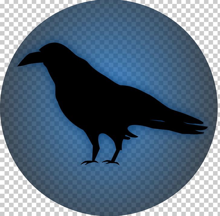 Common Raven Bird Computer Icons PNG, Clipart, American Crow, Animals, Beak, Bird, Clip Art Free PNG Download