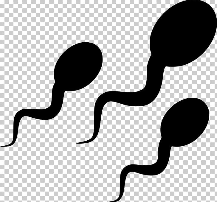 Sperm PNG, Clipart, Artwork, Black And White, Clip Art, Color, Computer Icons Free PNG Download