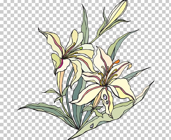 Easter Lily Flowering Plant PNG, Clipart, Anthophyta, Art, Auglis, Carpel, Clip Art Free PNG Download