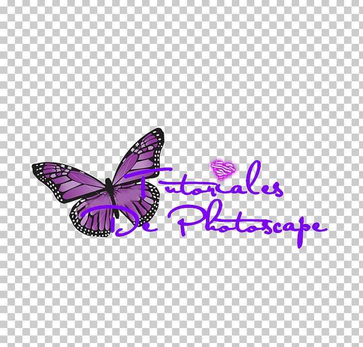 Portable Network Graphics PhotoScape Text PNG, Clipart, Brush Footed Butterfly, Butterfly, Editing, Information, Insect Free PNG Download