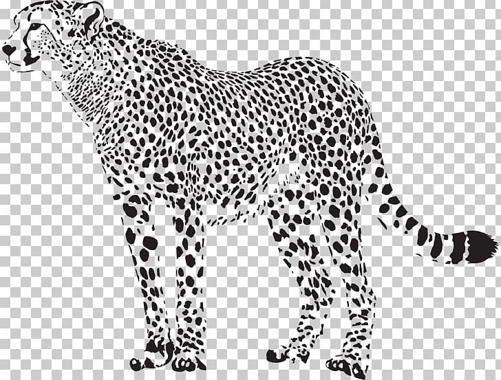 Cheetah Leopard PNG, Clipart, Area, Big Cat, Big Cats, Black, Carnivoran Free PNG Download
