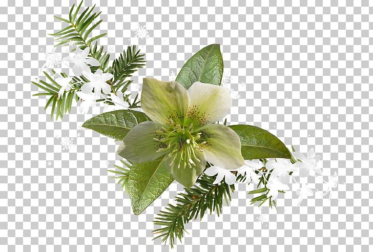 Floral Design Дневник.ру Easter PNG, Clipart, 1 June, 1 October, Branch, Diary, Easter Free PNG Download