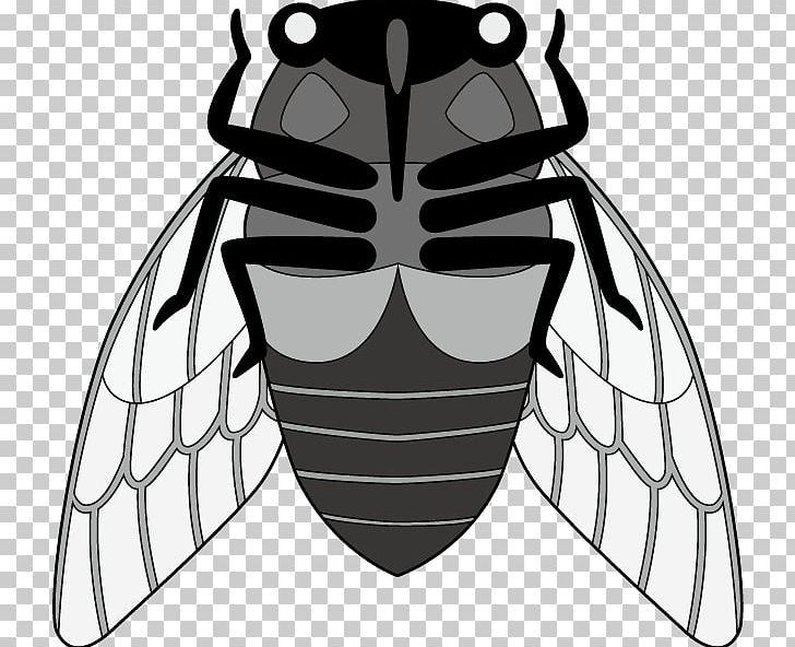 Honey Bee Insect Pollinator PNG, Clipart, Bee, Black, Black And White, Character, Cicada Free PNG Download